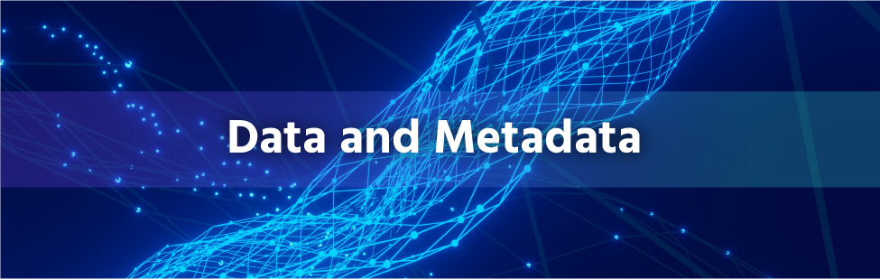 Data and Metadata